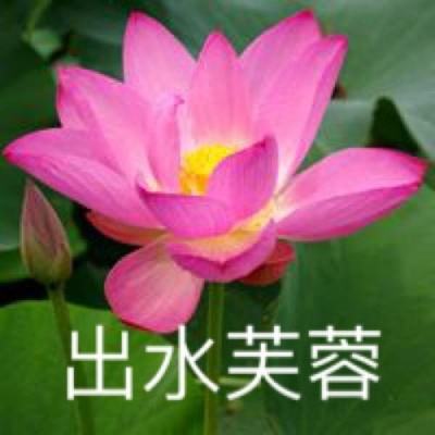 热血暗黑果盘手游下载